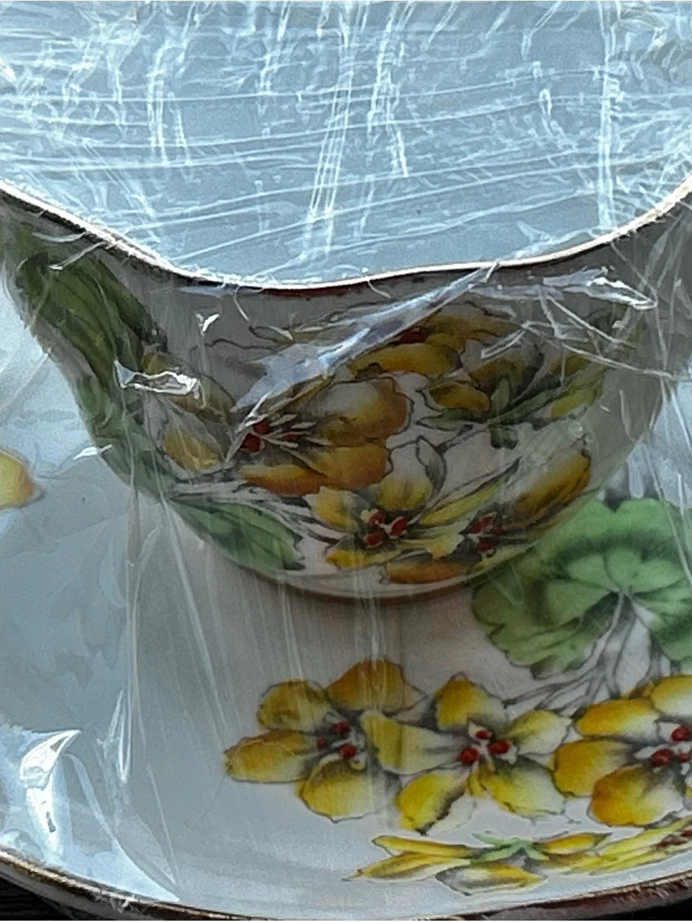 Vintage Geranium Salisbury Fine Bone China Teacup and Saucer made in England